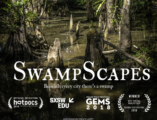 SwampScapes
