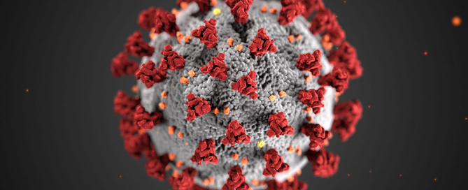 This illustration, created at the Centers for Disease Control and Prevention (CDC), reveals ultrastructural morphology exhibited by coronaviruses. Note the spikes that adorn the outer surface of the virus, which impart the look of a corona surrounding the virion, when viewed electron microscopically. A novel coronavirus, named Severe Acute Respiratory Syndrome coronavirus 2 (SARS-CoV-2), was identified as the cause of an outbreak of respiratory illness first detected in Wuhan, China in 2019. The illness caused by this virus has been named coronavirus disease 2019 (COVID-19). Photo: cdc.gov