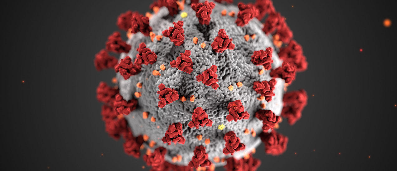 This illustration, created at the Centers for Disease Control and Prevention (CDC), reveals ultrastructural morphology exhibited by coronaviruses. Note the spikes that adorn the outer surface of the virus, which impart the look of a corona surrounding the virion, when viewed electron microscopically. A novel coronavirus, named Severe Acute Respiratory Syndrome coronavirus 2 (SARS-CoV-2), was identified as the cause of an outbreak of respiratory illness first detected in Wuhan, China in 2019. The illness caused by this virus has been named coronavirus disease 2019 (COVID-19). Photo: cdc.gov