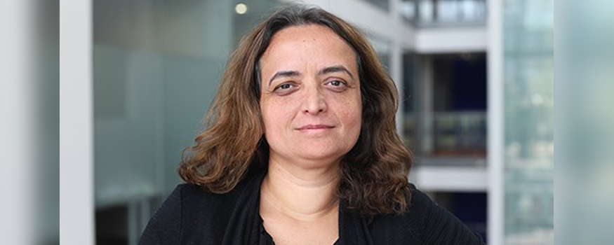 Carolina Matos – visiting associate professor in Global Communications, University of Miami School of Communication, and senior lecturer in Media and Sociology at the Department of Media, Culture and the Creative Industries, City, University of London.