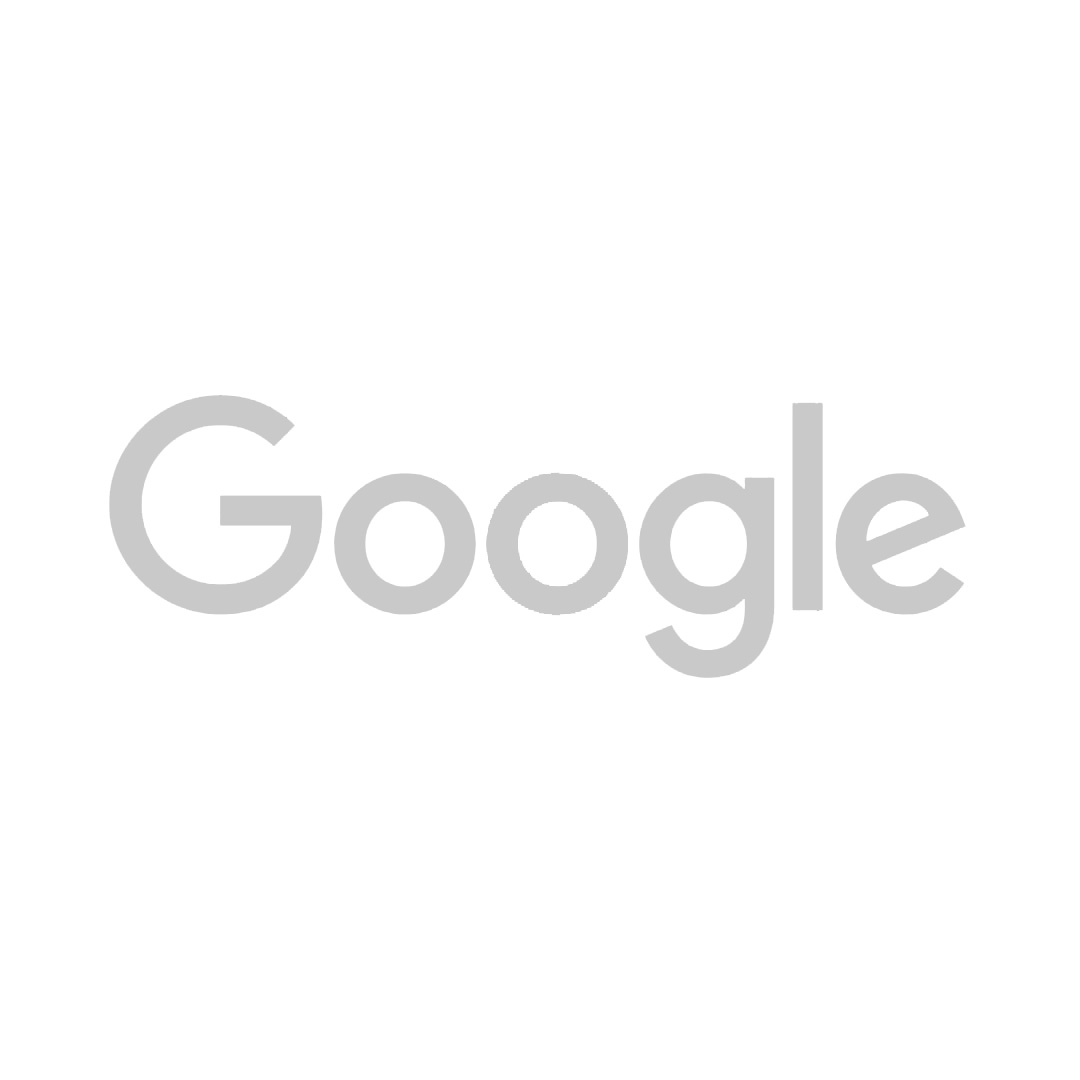 Google Logo Gray
