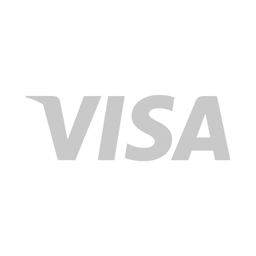 Visa Logo Gray