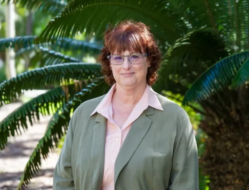 Creator of Taylor Swift class named interim School of Communication dean